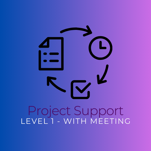 Project Support Level 1 - Report Review with Virtual Meeting