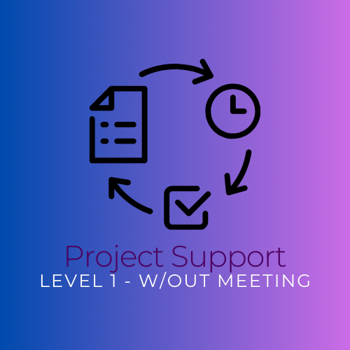 Project Support Level 1 - Report Feedback without Meeting