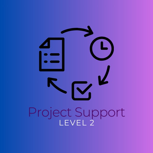 Project Support Level 2 - Planning and Review
